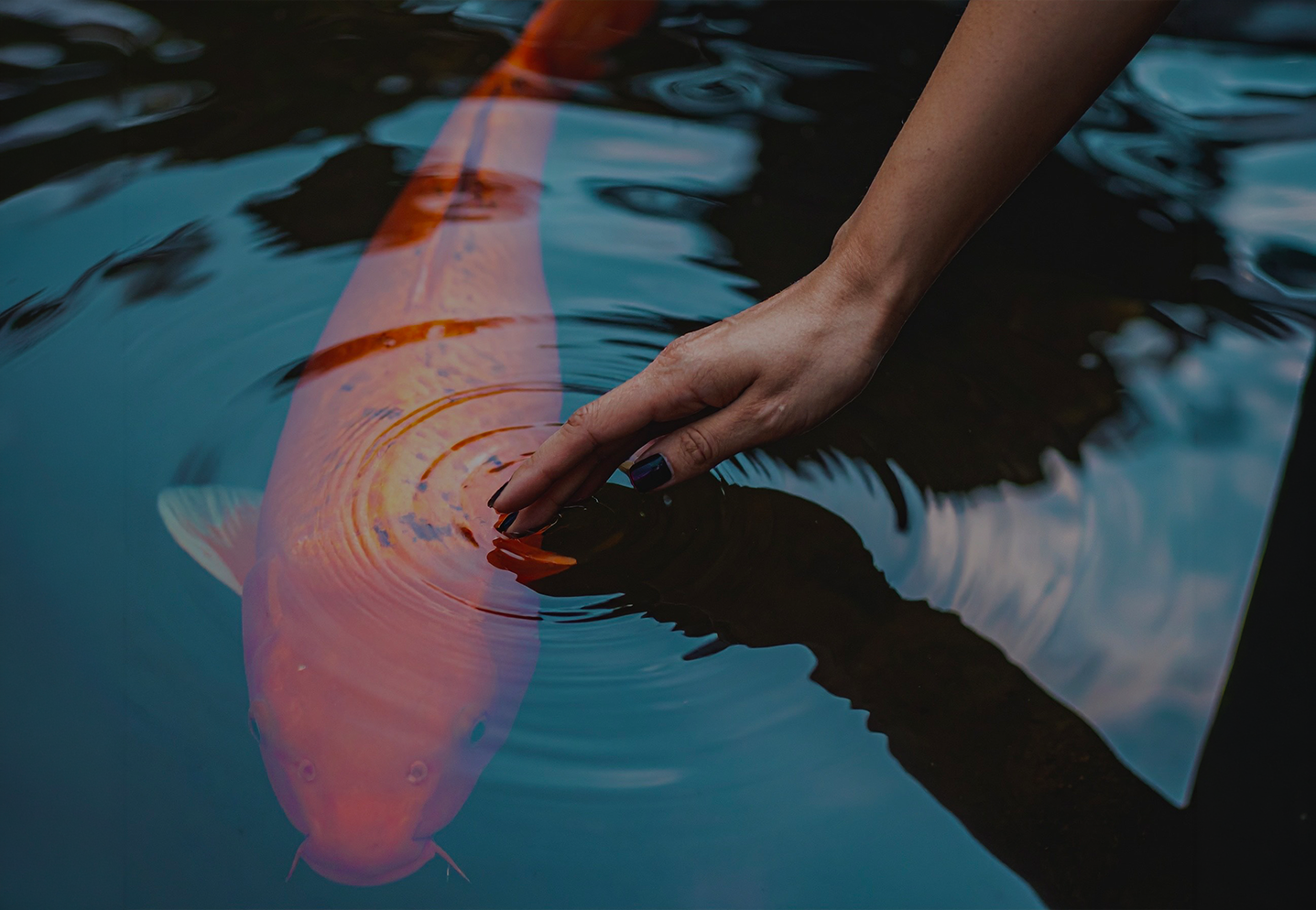 İyileşme ve Gelişme Kültürü