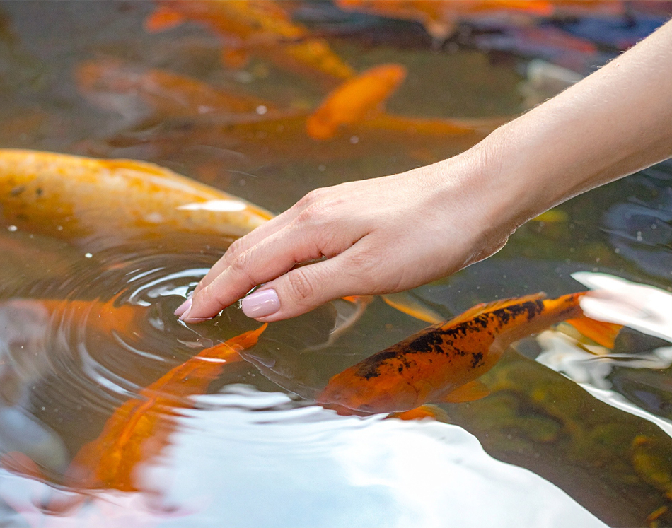 Çalışan Destek Programı Hakkında Bilmeniz Gerekenler